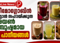 ഹീമോഗ്ലോബിൻ കൂട്ടാൻ സഹായിക്കുന്ന അയൺ സമ്പുഷ്ടമായ 5 പാനീയങ്ങൾ.
