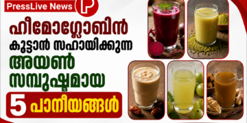 ഹീമോഗ്ലോബിൻ കൂട്ടാൻ സഹായിക്കുന്ന അയൺ സമ്പുഷ്ടമായ 5 പാനീയങ്ങൾ.