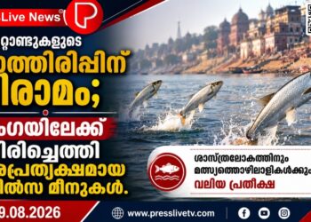 പതിറ്റാണ്ടുകളുടെ കാത്തിരിപ്പിന് വിരാമം; ഗംഗയിലേക്ക് തിരിച്ചെത്തി അപ്രത്യക്ഷമായ ഹിൽസ മീനുകൾ.