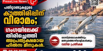 പതിറ്റാണ്ടുകളുടെ കാത്തിരിപ്പിന് വിരാമം; ഗംഗയിലേക്ക് തിരിച്ചെത്തി അപ്രത്യക്ഷമായ ഹിൽസ മീനുകൾ.