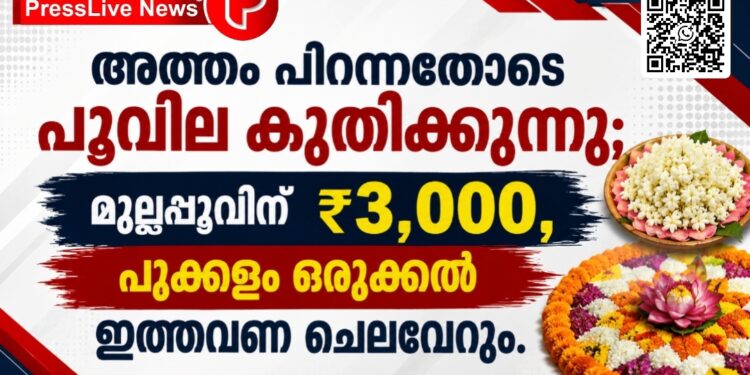 അത്തം പിറന്നതോടെ പൂവില കുതിക്കുന്നു; മുല്ലപ്പൂവിന് ₹3,000, പൂക്കളം ഒരുക്കൽ ഇത്തവണ ചെലവേറും.