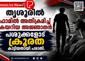 തൃശൂരിൽ ഫാമിൽ അതിക്രമിച്ച് കയറിയ അജ്ഞാതൻ പശുക്കളോട് ക്രൂരത കാട്ടിയതായി പരാതി.