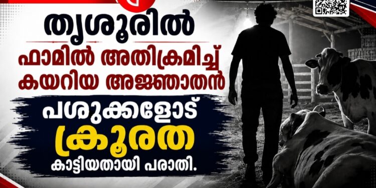 തൃശൂരിൽ ഫാമിൽ അതിക്രമിച്ച് കയറിയ അജ്ഞാതൻ പശുക്കളോട് ക്രൂരത കാട്ടിയതായി പരാതി.