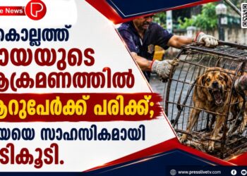 കൊല്ലത്ത് നായയുടെ ആക്രമണത്തിൽ ആറുപേർക്ക് പരിക്ക്; നായയെ സാഹസികമായി പിടികൂടി.
