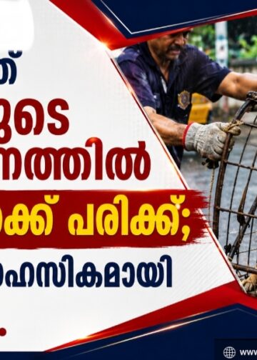 കൊല്ലത്ത് നായയുടെ ആക്രമണത്തിൽ ആറുപേർക്ക് പരിക്ക്; നായയെ സാഹസികമായി പിടികൂടി.