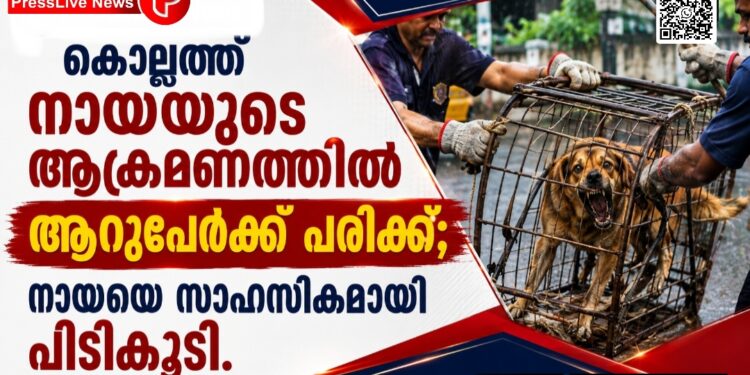 കൊല്ലത്ത് നായയുടെ ആക്രമണത്തിൽ ആറുപേർക്ക് പരിക്ക്; നായയെ സാഹസികമായി പിടികൂടി.