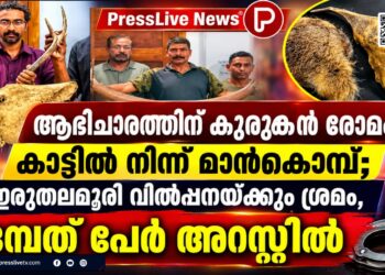 ആഭിചാരത്തിന് കുറുക്കൻ രോമം, കാട്ടിൽ നിന്ന് മാൻകൊമ്പ്; ഇരുതലമൂരി വിൽപ്പനയ്ക്കും ശ്രമം, ഒമ്പത് പേർ അറസ്റ്റിൽ.