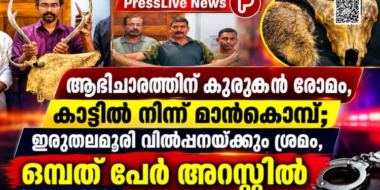 ആഭിചാരത്തിന് കുറുക്കൻ രോമം, കാട്ടിൽ നിന്ന് മാൻകൊമ്പ്; ഇരുതലമൂരി വിൽപ്പനയ്ക്കും ശ്രമം, ഒമ്പത് പേർ അറസ്റ്റിൽ.