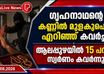ഗൃഹനാഥന്റെ കണ്ണിൽ മുളകുപൊടി എറിഞ്ഞ് കവർച്ച; ആലപ്പുഴയിൽ 15 പവൻ സ്വർണം കവർന്നു.