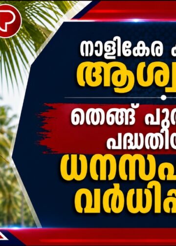 നാളികേര കർഷകർക്ക് ആശ്വാസം; തെങ്ങ് പുതുക്കൃഷി പദ്ധതിയിലെ ധനസഹായം വർധിപ്പിച്ചു.