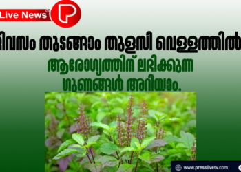 ദിവസം തുടങ്ങാം തുളസി വെള്ളത്തിൽ; ആരോഗ്യത്തിന് ലഭിക്കുന്ന ഗുണങ്ങൾ അറിയാം.