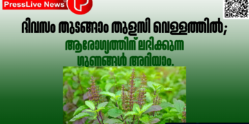 ദിവസം തുടങ്ങാം തുളസി വെള്ളത്തിൽ; ആരോഗ്യത്തിന് ലഭിക്കുന്ന ഗുണങ്ങൾ അറിയാം.